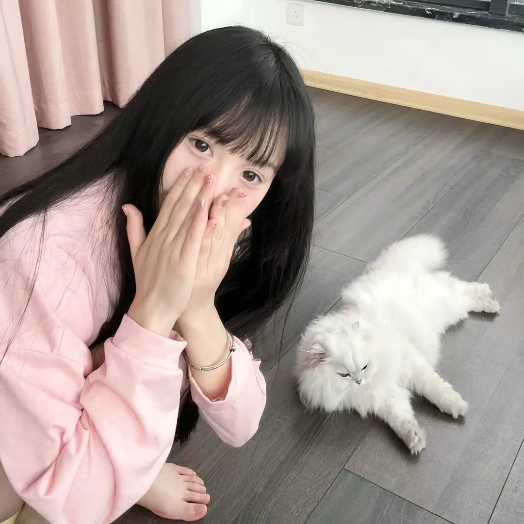 兄弟没狗不应该